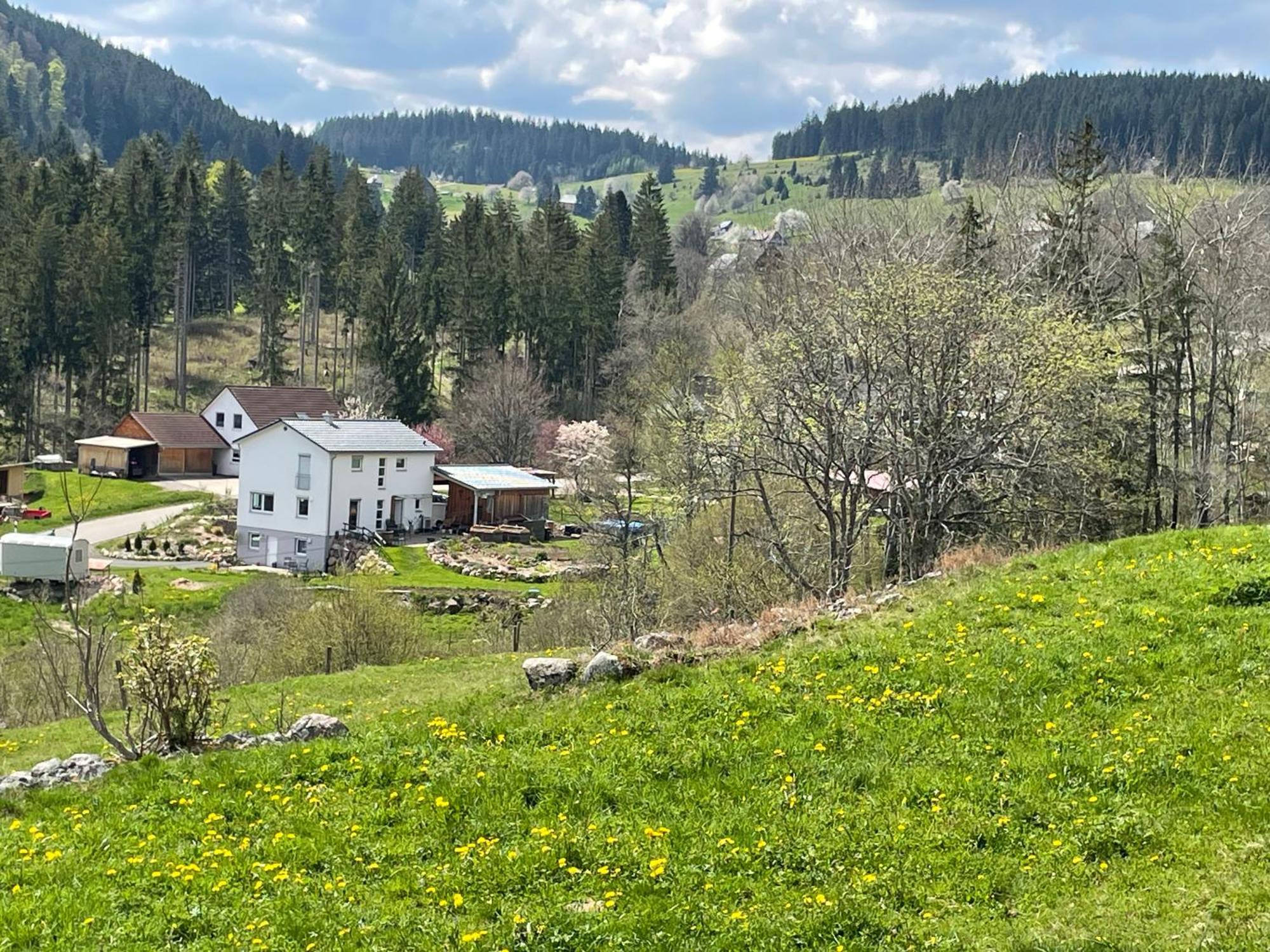 Ferienwohnung Am Hirtenpfad Lenzkirch Exterior foto